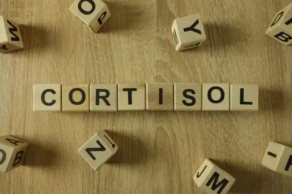 The Hidden Connection: How Stress Shapes Your Fitness and Body Composition 2 Image saying "Cortisol" and how stress Arundel impacts your wellbeing and bodies shape